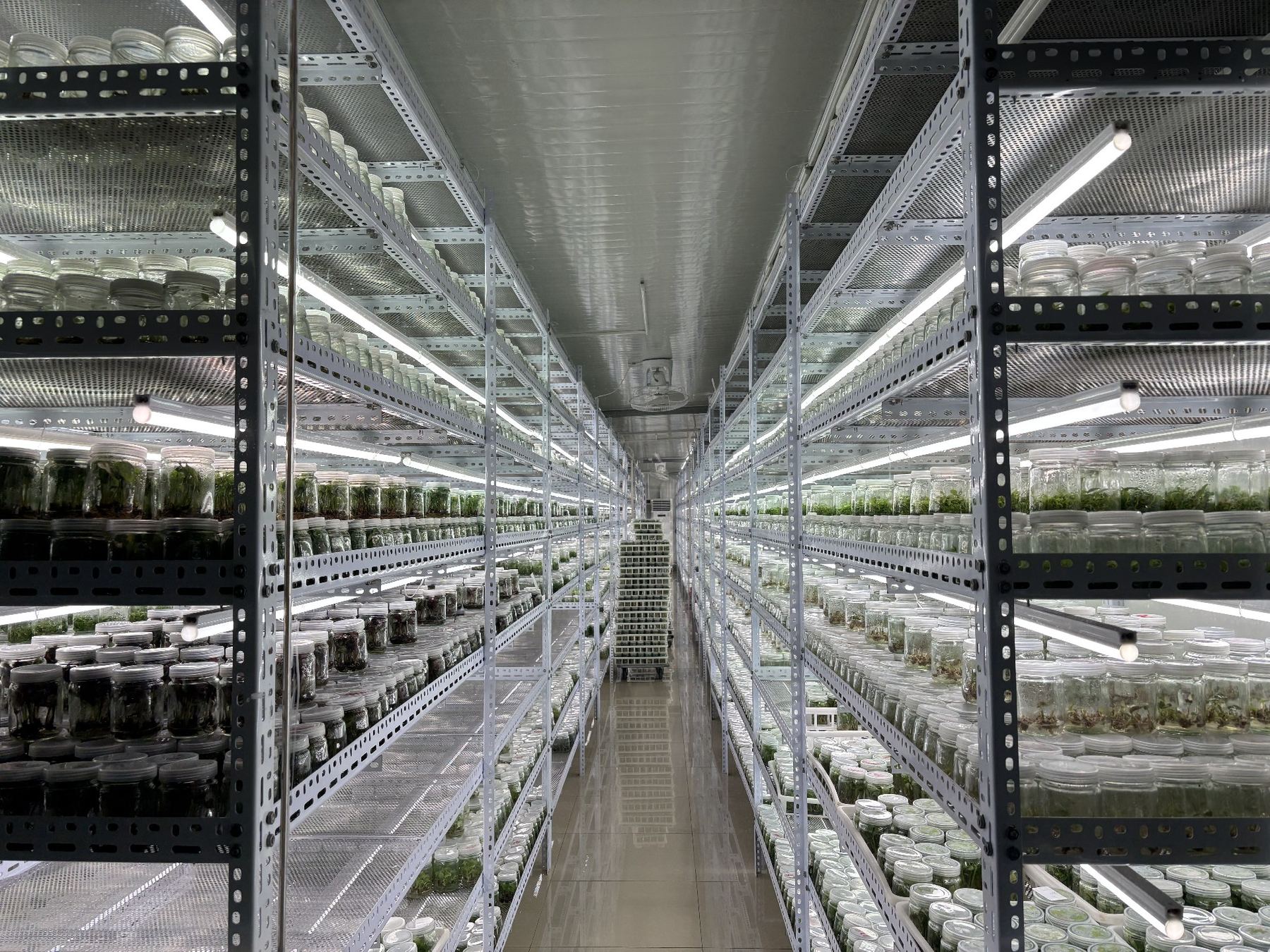 Tissue culture laboratory