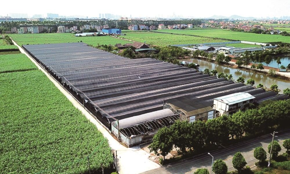 Aerial view of the base