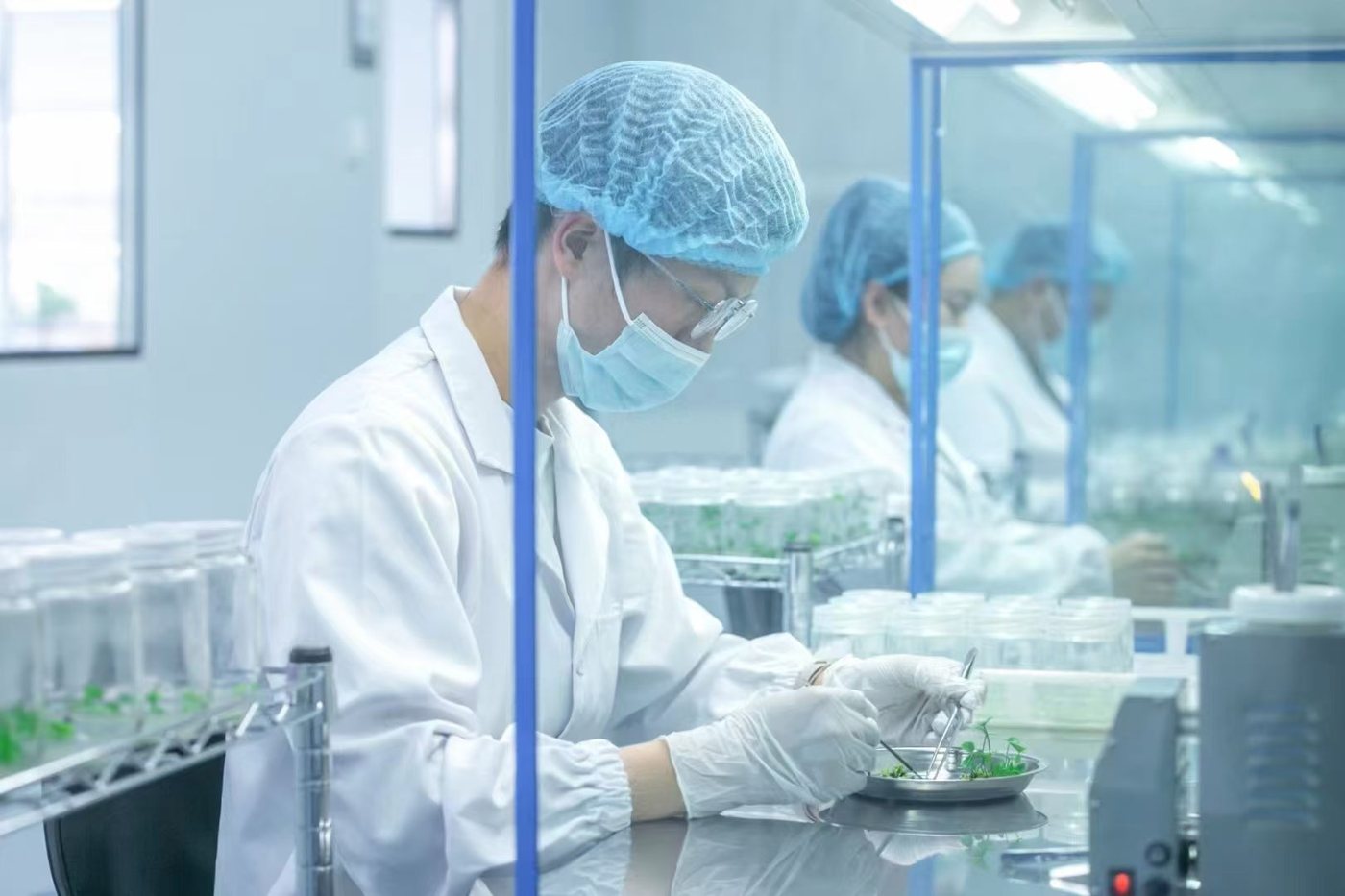 Turn-key tissue culture system